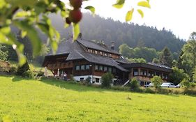 Das Schwarzwaldhotel